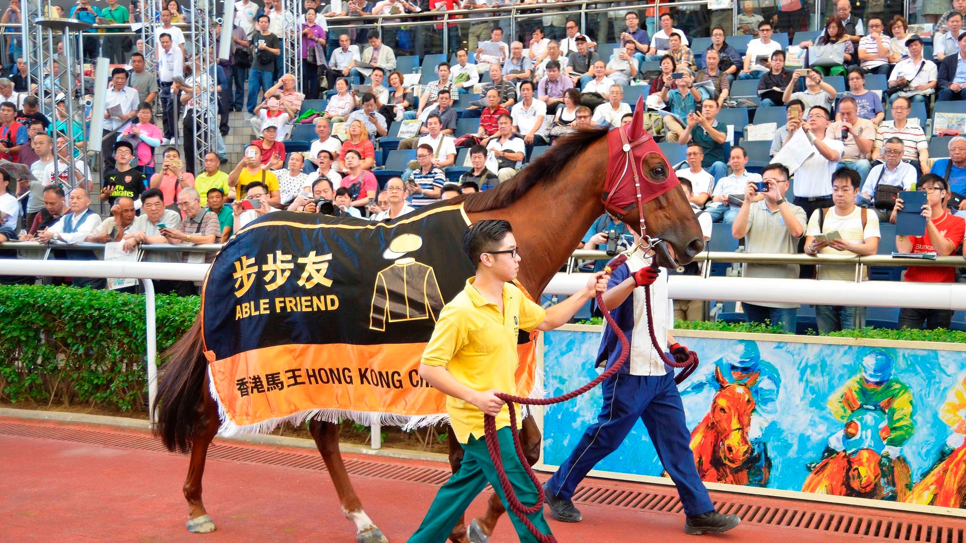 【賽馬.來稿】五匹馬王同季退役:又一個黃金一代的落幕 【賽馬.來稿】五匹馬王同季退役:又一個黃金一代的落幕