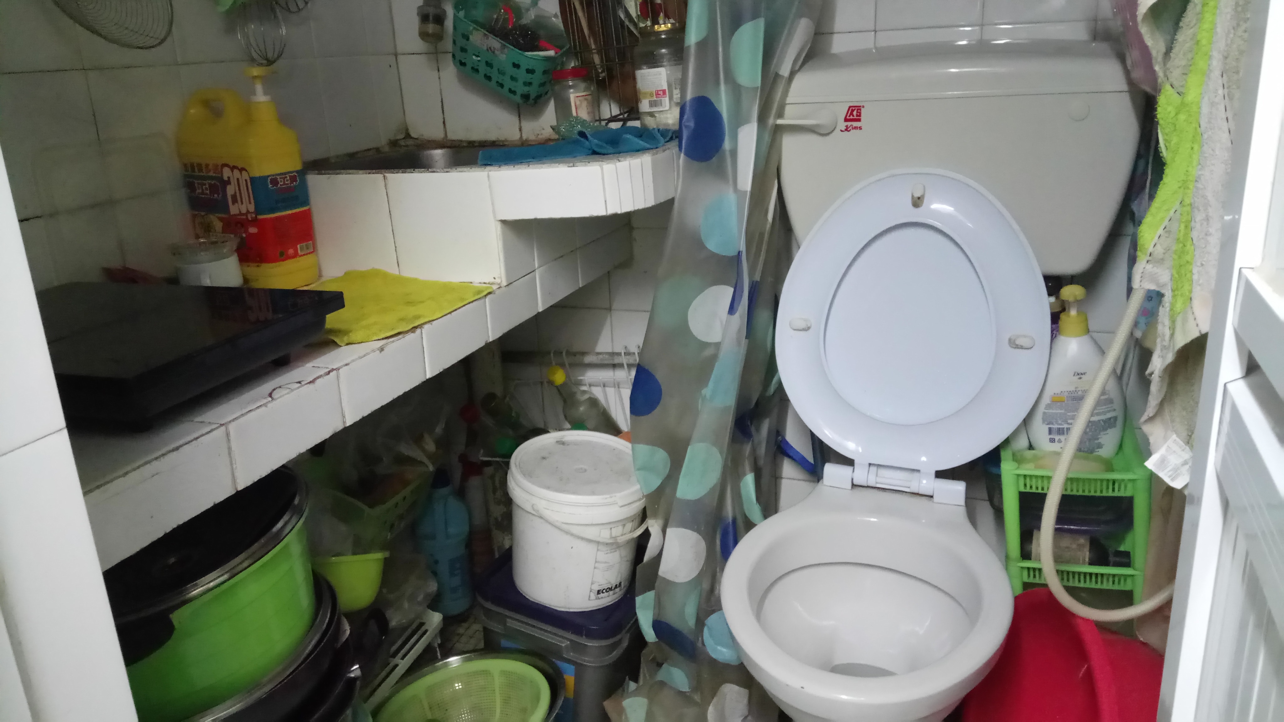 廁所與廚房共處一室。（展覽相片）