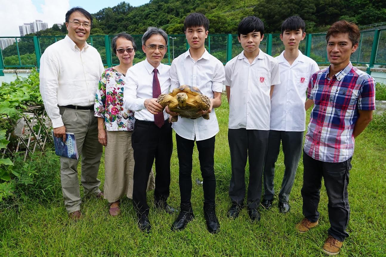 詳情請閱照片