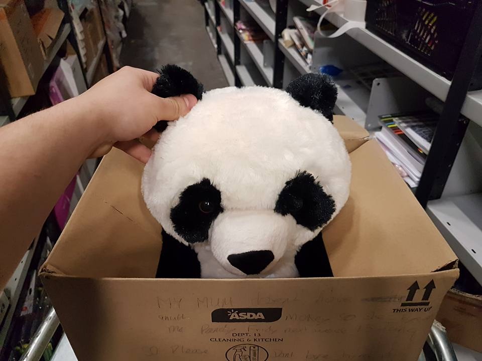 里昂在阿斯達超市店內看中熊貓公仔，並替它改名Pandy，非常希望擁有它。（超巿職員David Bateman fb圖片）