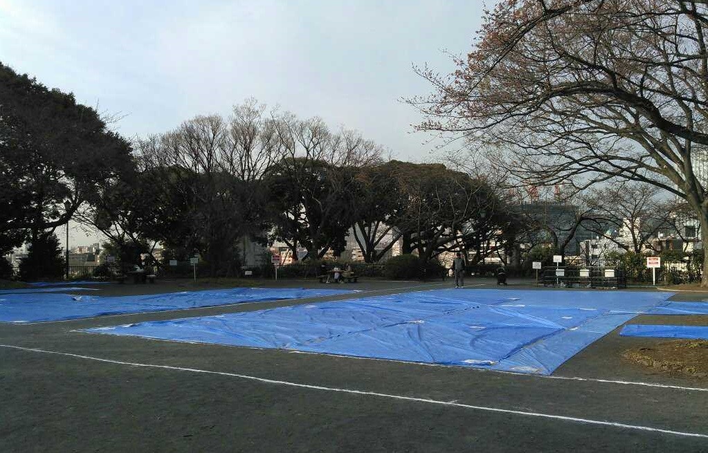 日巨企佔領公園賞櫻附時間表無視警告遭狠批後撤走 香港01 即時國際