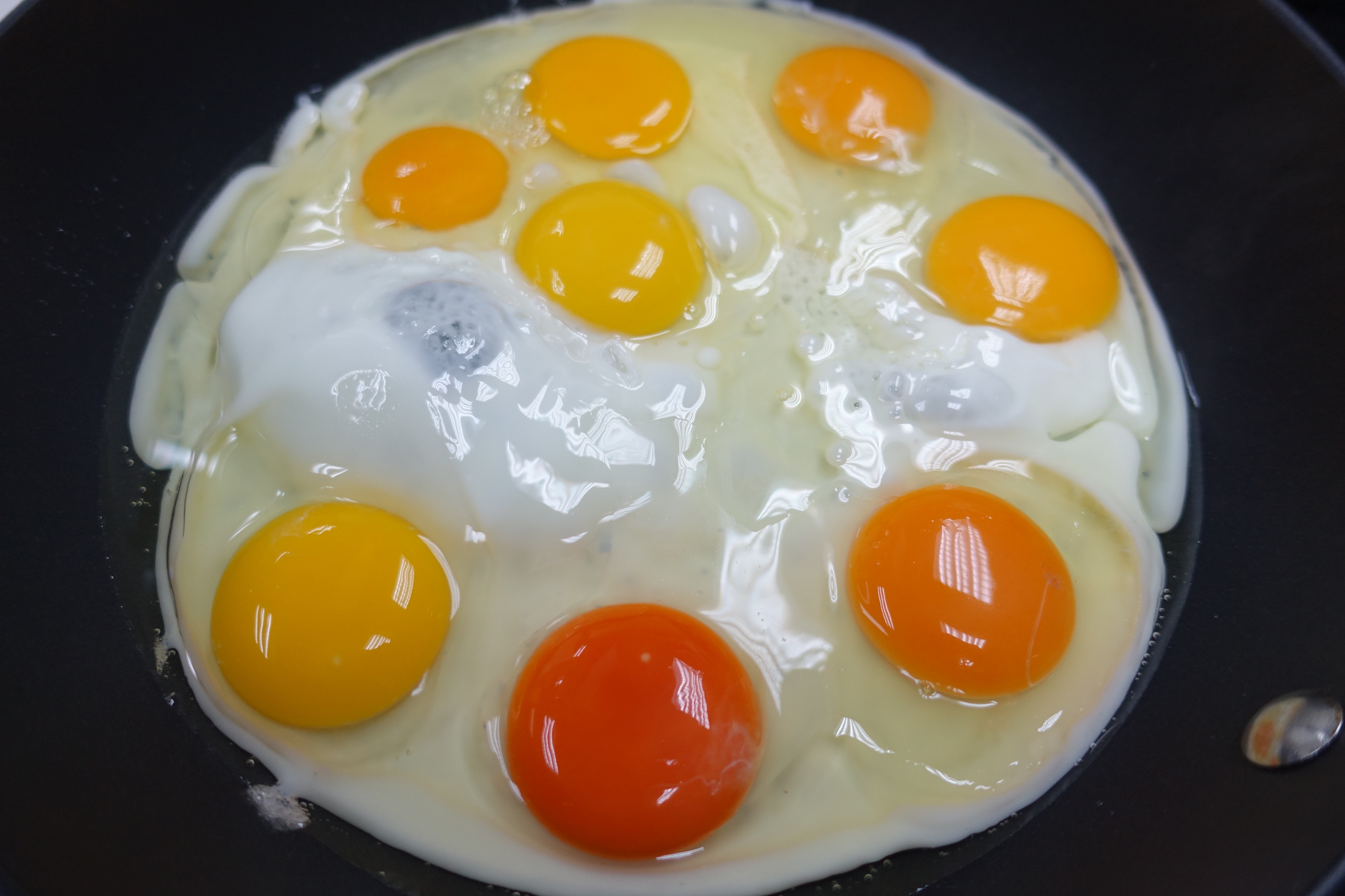 【8大雞蛋逐隻剝】蒸炒煎焗一蛋走江湖　大廚有心水推介
