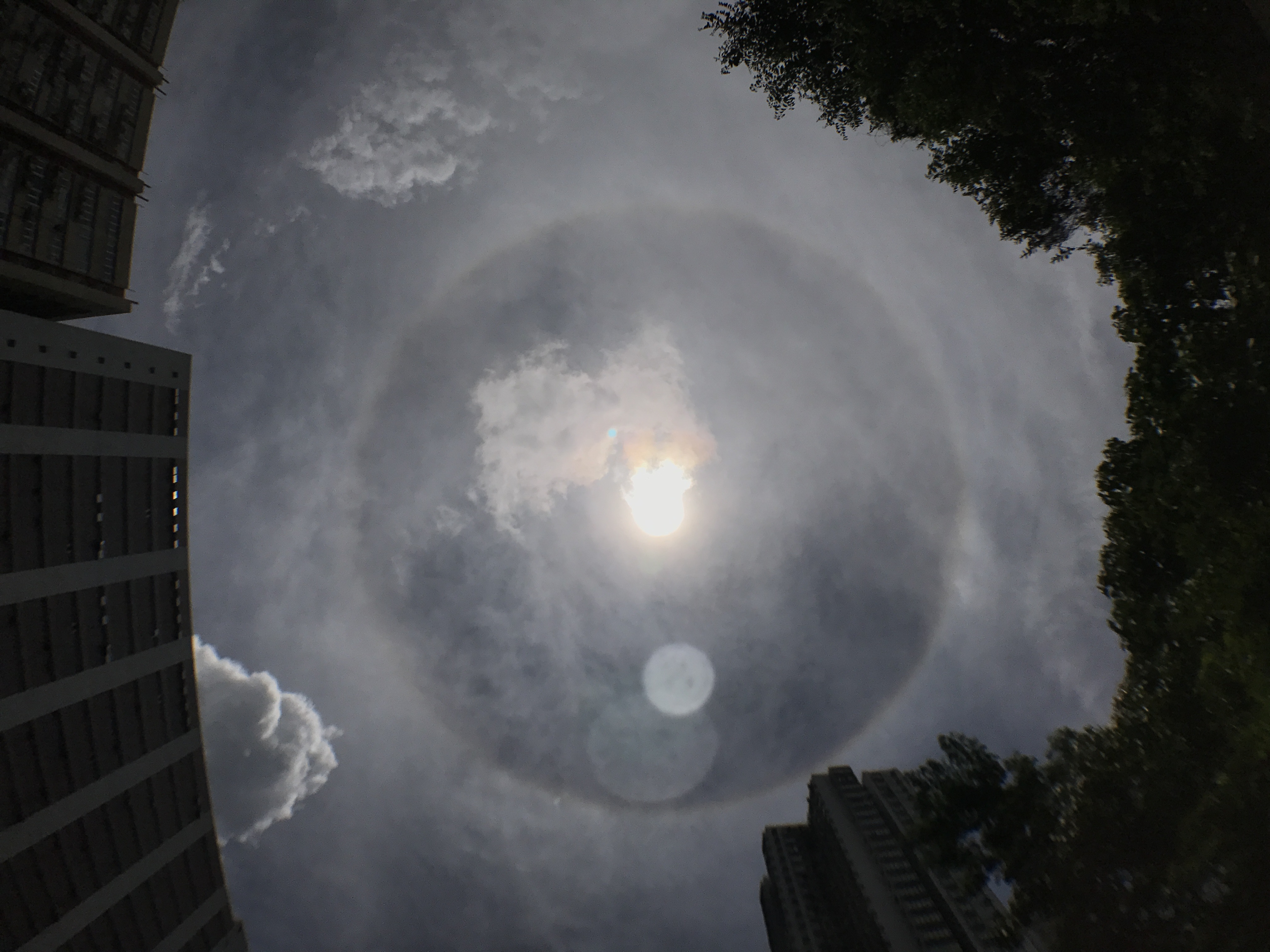 今日中午時份，在荃灣上空可看到個完整的日暈。（倪清江攝）