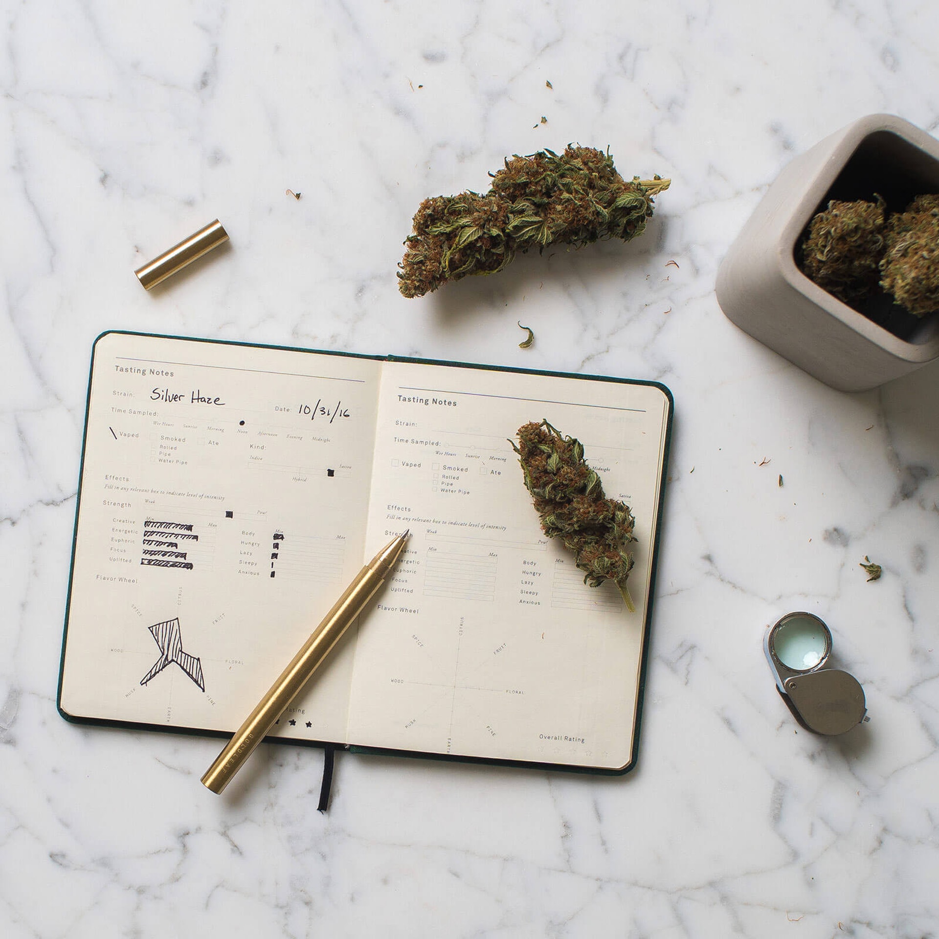 種大麻都要準備筆記簿?(GOLDLEAF) 種大麻都要準備筆記簿?(GOLDLEAF)