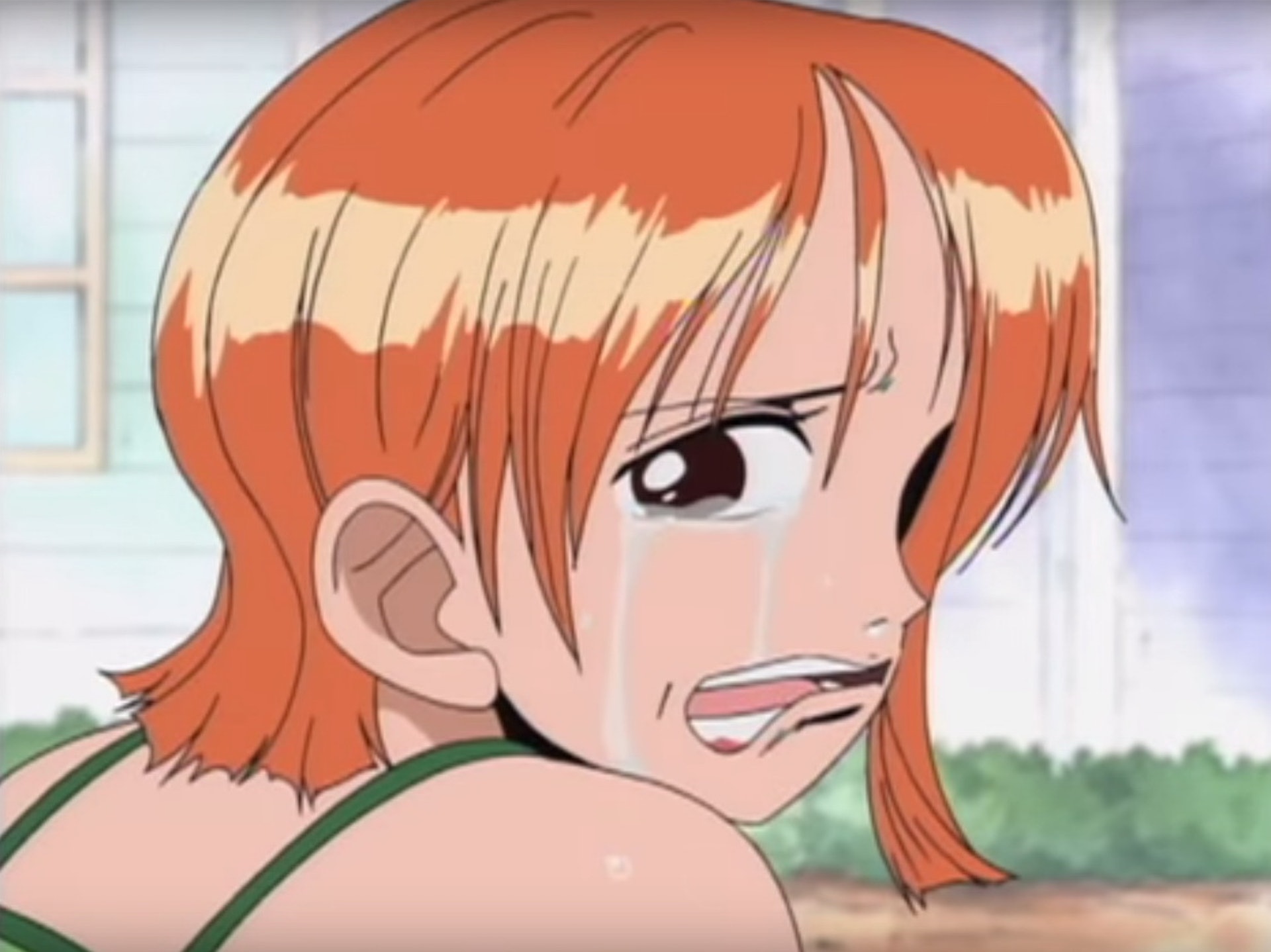 有洋蔥 One Piece連載年重溫個感人場面 有洋蔥 One Piece連載年重溫個感人場面