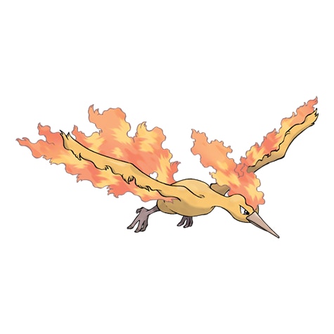 Pokemon Go神獸攻略 急凍鳥利基亞香港現身 捕捉法相剋精靈攻略