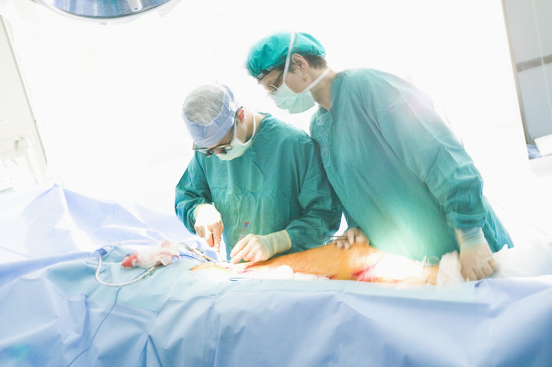 公院病人手術傷口遺留近1.5厘米長金屬絲6周後始揭發 公院病人手術傷口遺留近1.5厘米長金屬絲6周後始揭發