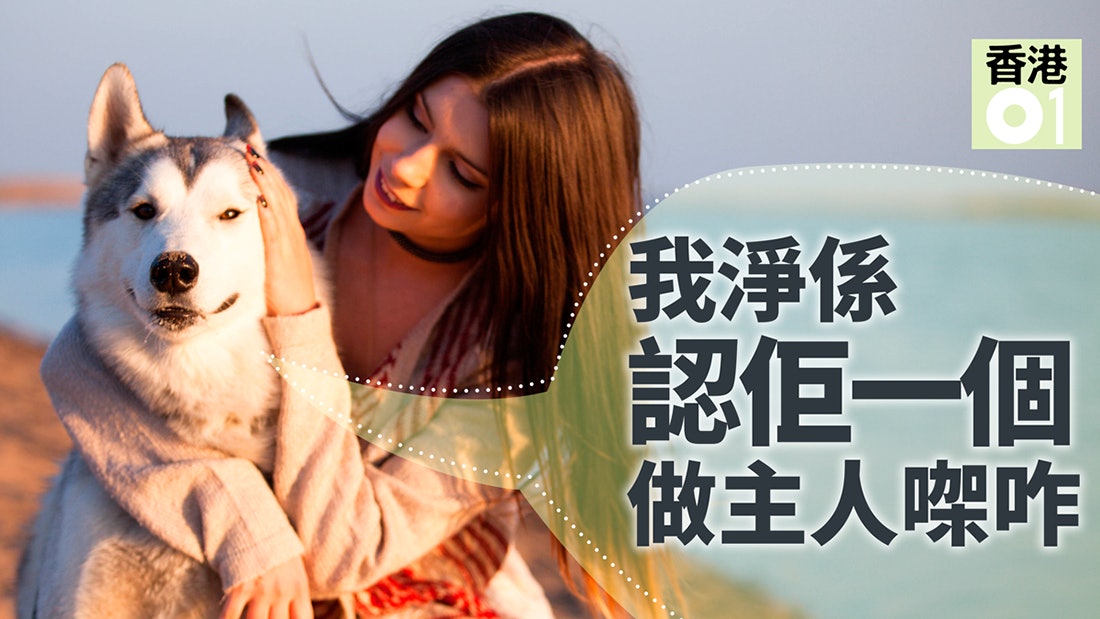【狗主要學】主人只有一個 狗狗怎樣才認定是你? 【狗主要學】主人只有一個 狗狗怎樣才認定是你?