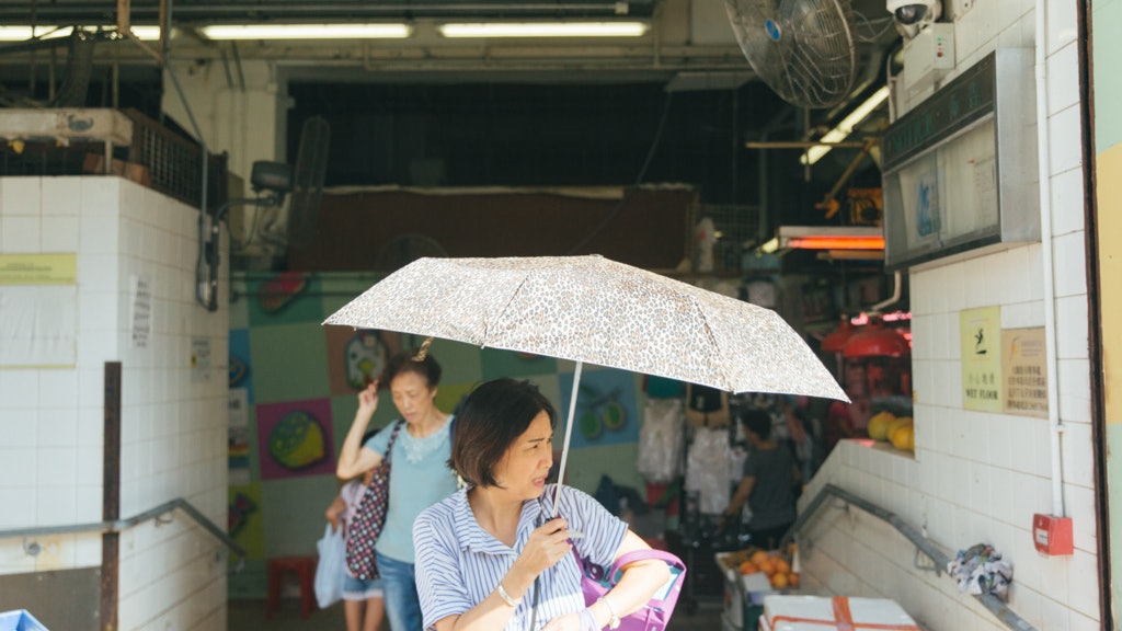 【酷熱街市】全港只得19個冷氣公眾街市 食環08年後「停晒手」? 【酷熱街市】全港只得19個冷氣公眾街市 食環08年後「停晒手」?