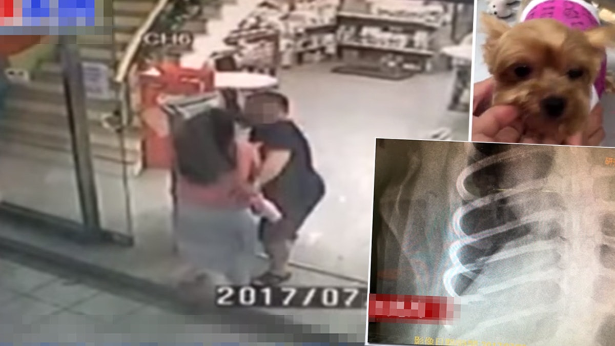 驚聞愛犬斷5條肋骨 台男疑新婚妻虐狗 摑妻後揚言離婚 驚聞愛犬斷5條肋骨 台男疑新婚妻虐狗 摑妻後揚言離婚