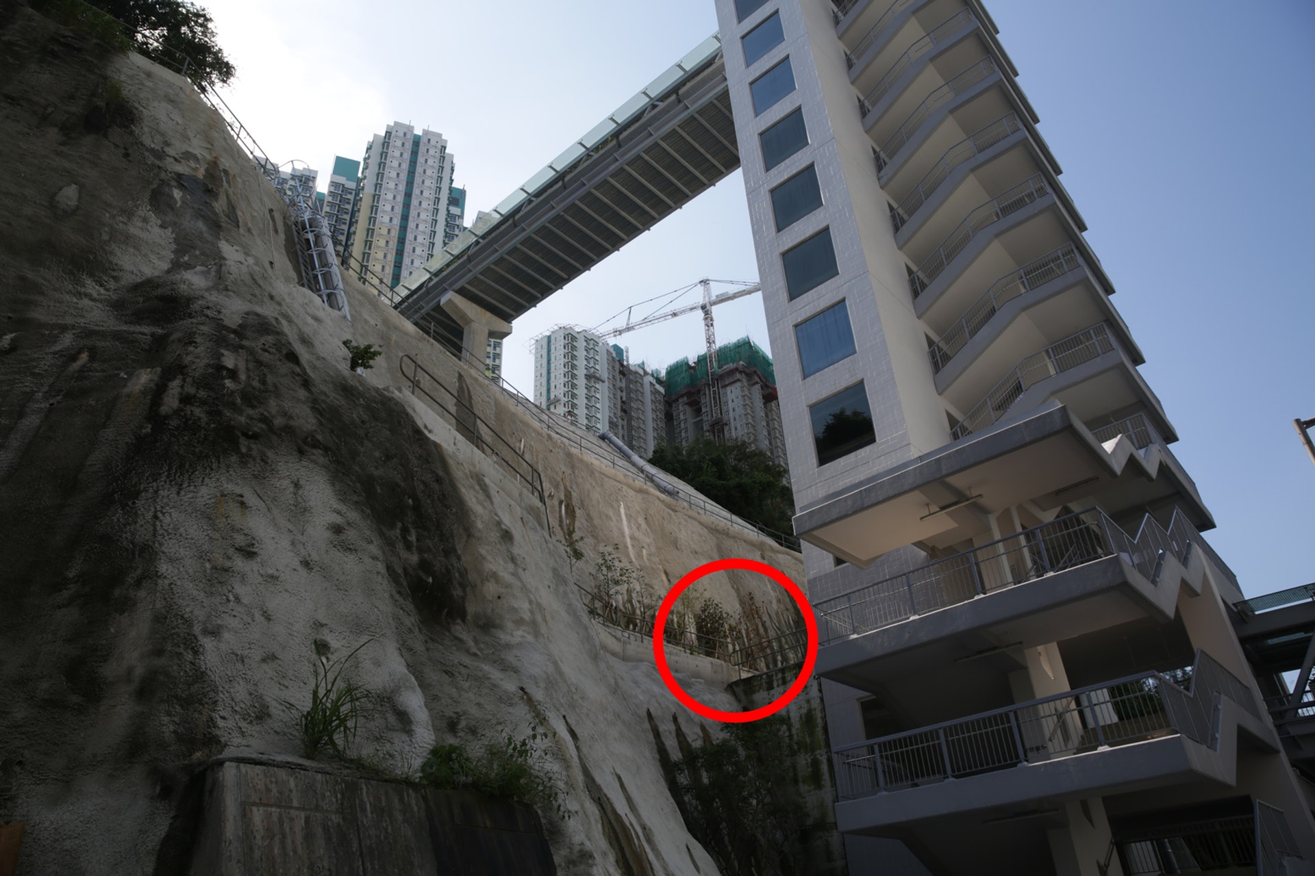 老翁秀茂坪跳橋伏屍山坡去水渠警未有檢獲遺書 香港01 社會新聞 老翁秀茂坪跳橋伏屍山坡去水渠警未有檢獲遺書 香港01 社會新聞