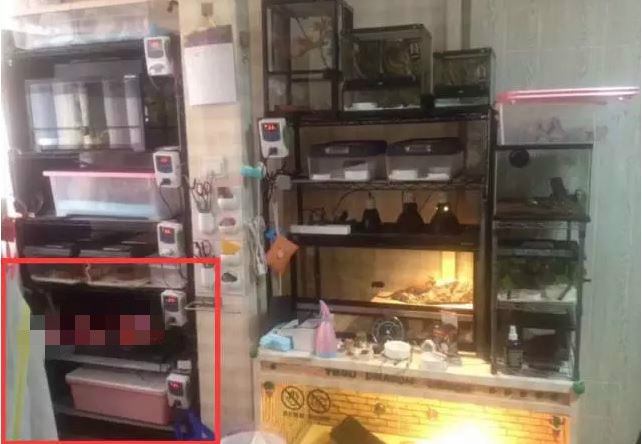兇手殺妻後，用雪櫃藏屍百日。（網上圖片）