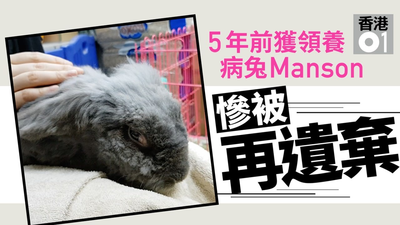 香港兔友協會