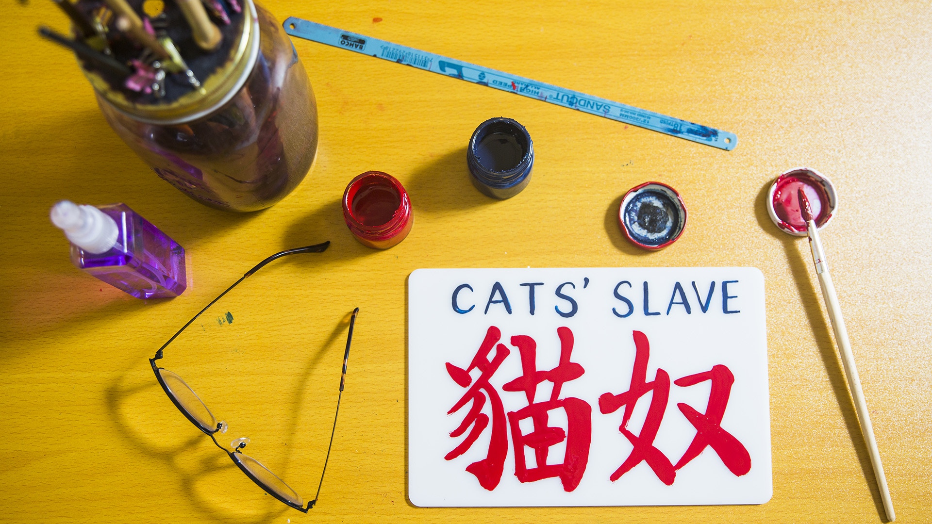 【圖輯】特色小巴牌宣揚守護動物　造牌師傅視貓狗為朋友