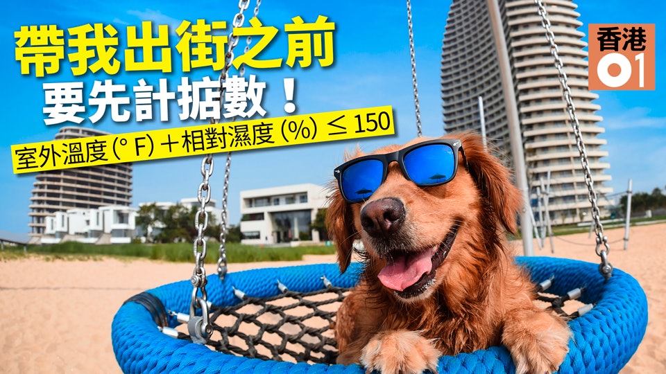 【狗中暑】簡單方程式預防寵物中暑 原來要計埋「相對濕度」! 【狗中暑】簡單方程式預防寵物中暑 原來要計埋「相對濕度」!