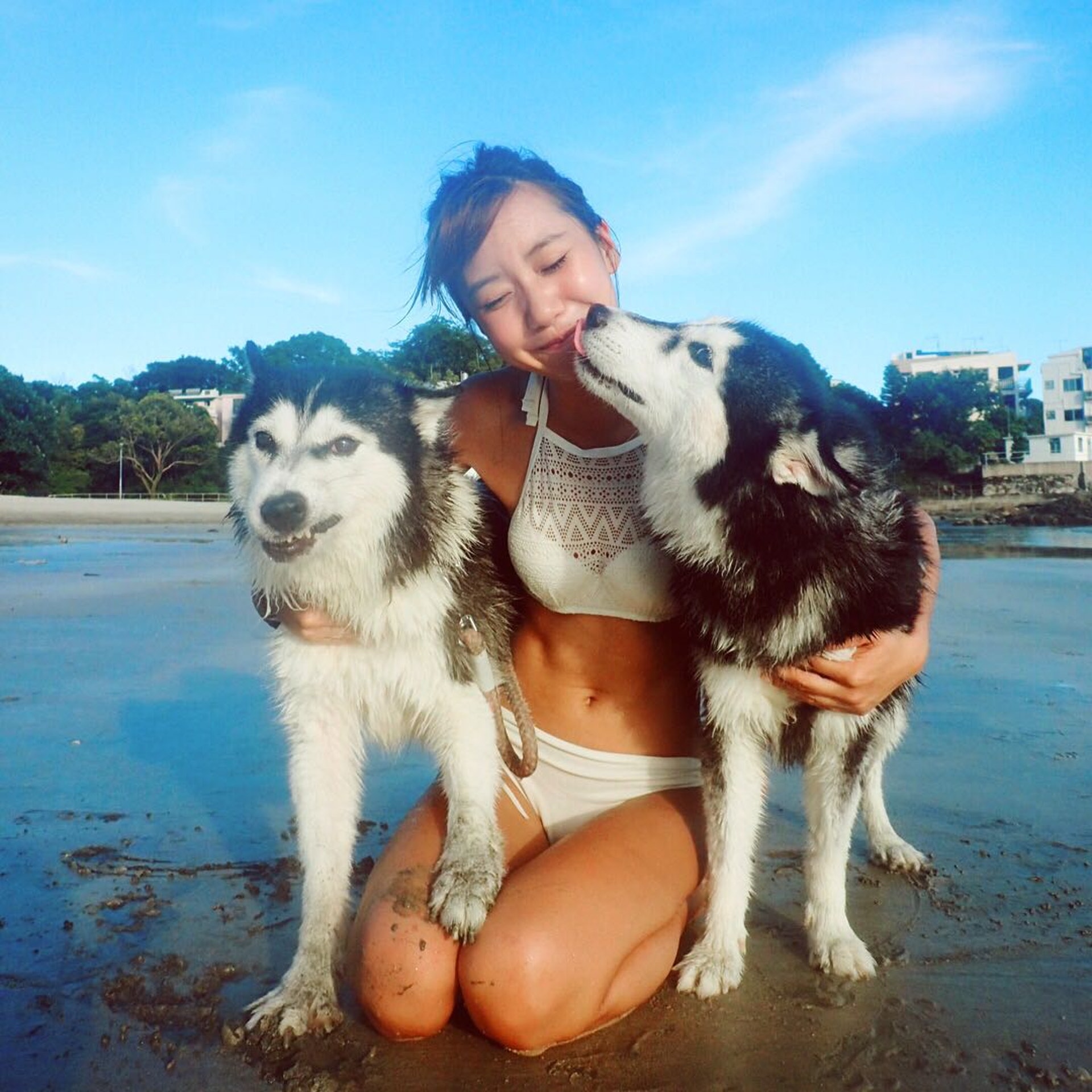 靚女Roseann主人獨力照顧Anna和Elsa,愛心暴棚。(受訪者提供) 靚女Roseann主人獨力照顧Anna和Elsa,愛心暴棚。(受訪者提供)