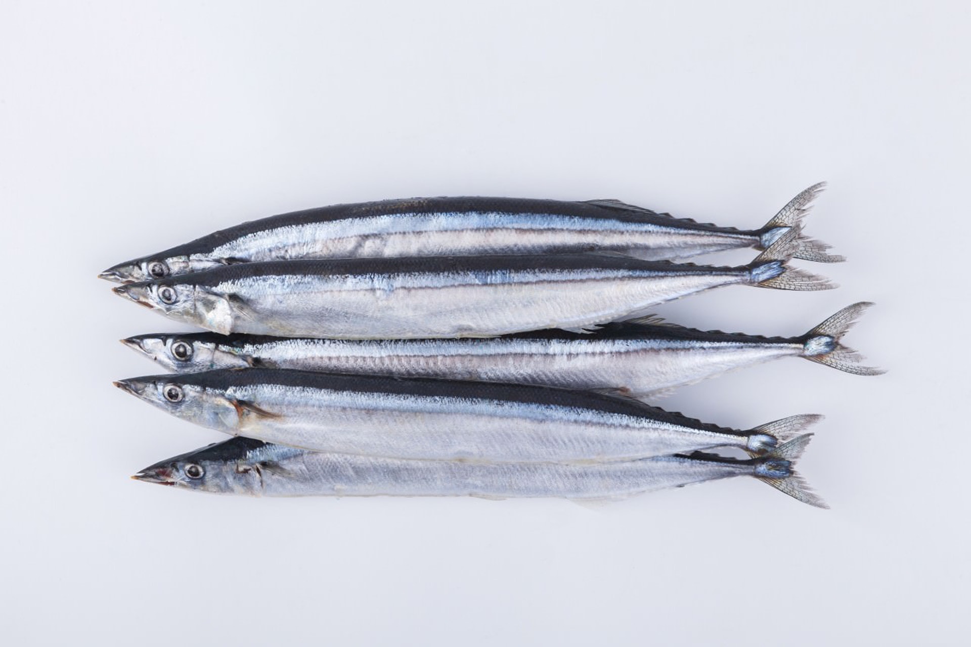 秋刀魚 秋味之王識食當然食刺身 香港01 開罐 秋刀魚 秋味之王識食當然食刺身 香港01 開罐