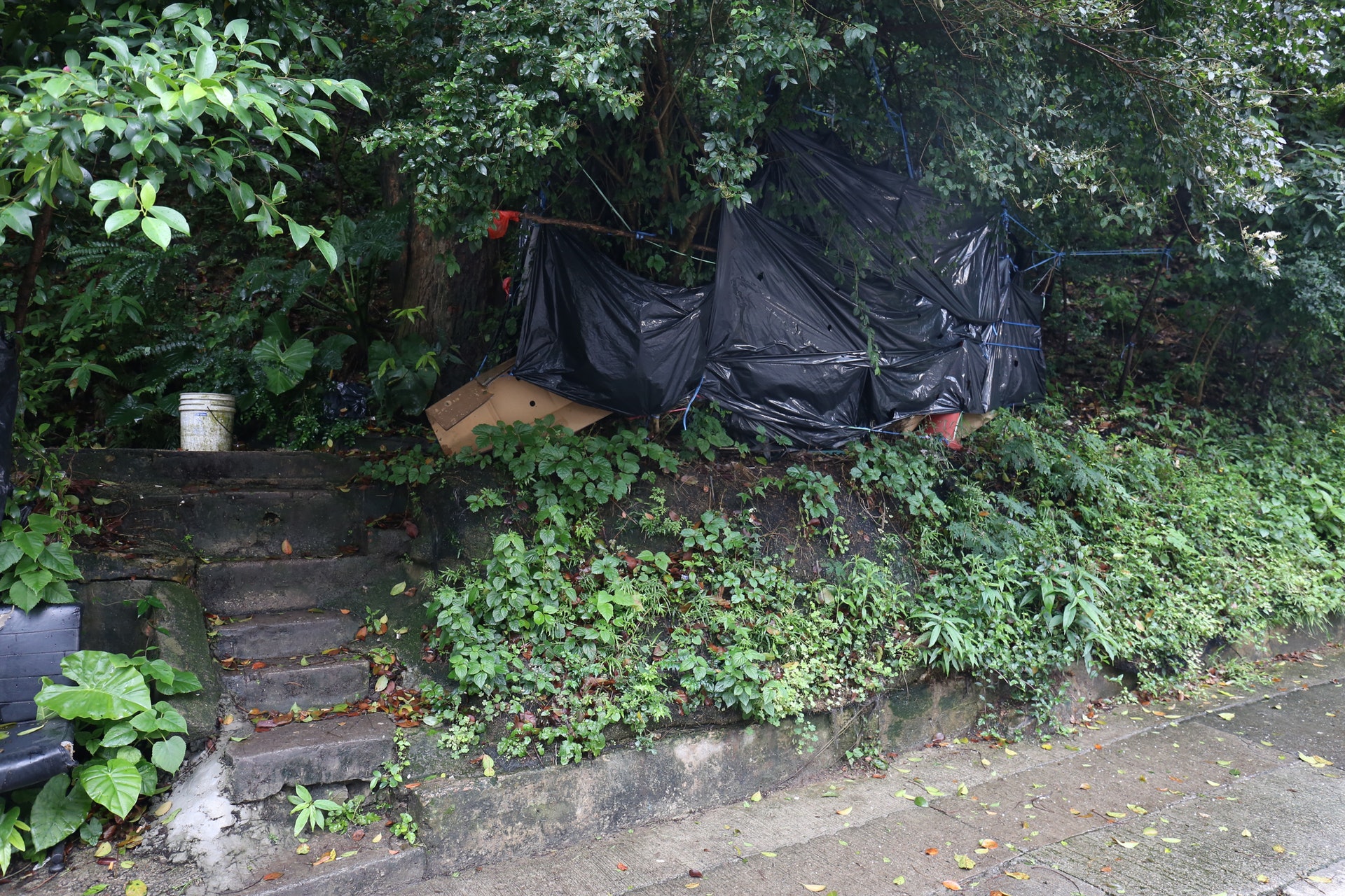 「膠袋廁所」建在巴士總站旁的山坡邊,用尼龍繩拉起黑色膠袋及紙布作外牆,與行人路僅距離約一米,旁邊放有一個裝滿清水的水桶。(魯嘉裕攝) 「膠袋廁所」建在巴士總站旁的山坡邊,用尼龍繩拉起黑色膠袋及紙布作外牆,與行人路僅距離約一米,旁邊放有一個裝滿清水的水桶。(魯嘉裕攝)