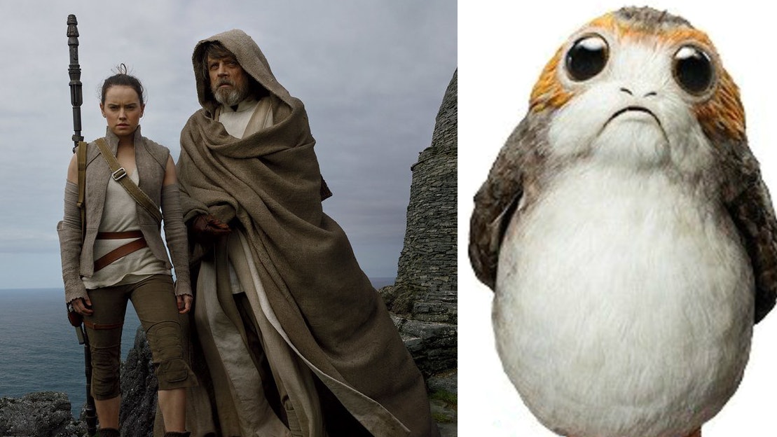 【Star Wars】《星戰8》激萌Porg挑戰BB-8 導演教你分男仔定女仔 【Star Wars】《星戰8》激萌Porg挑戰BB-8 導演教你分男仔定女仔