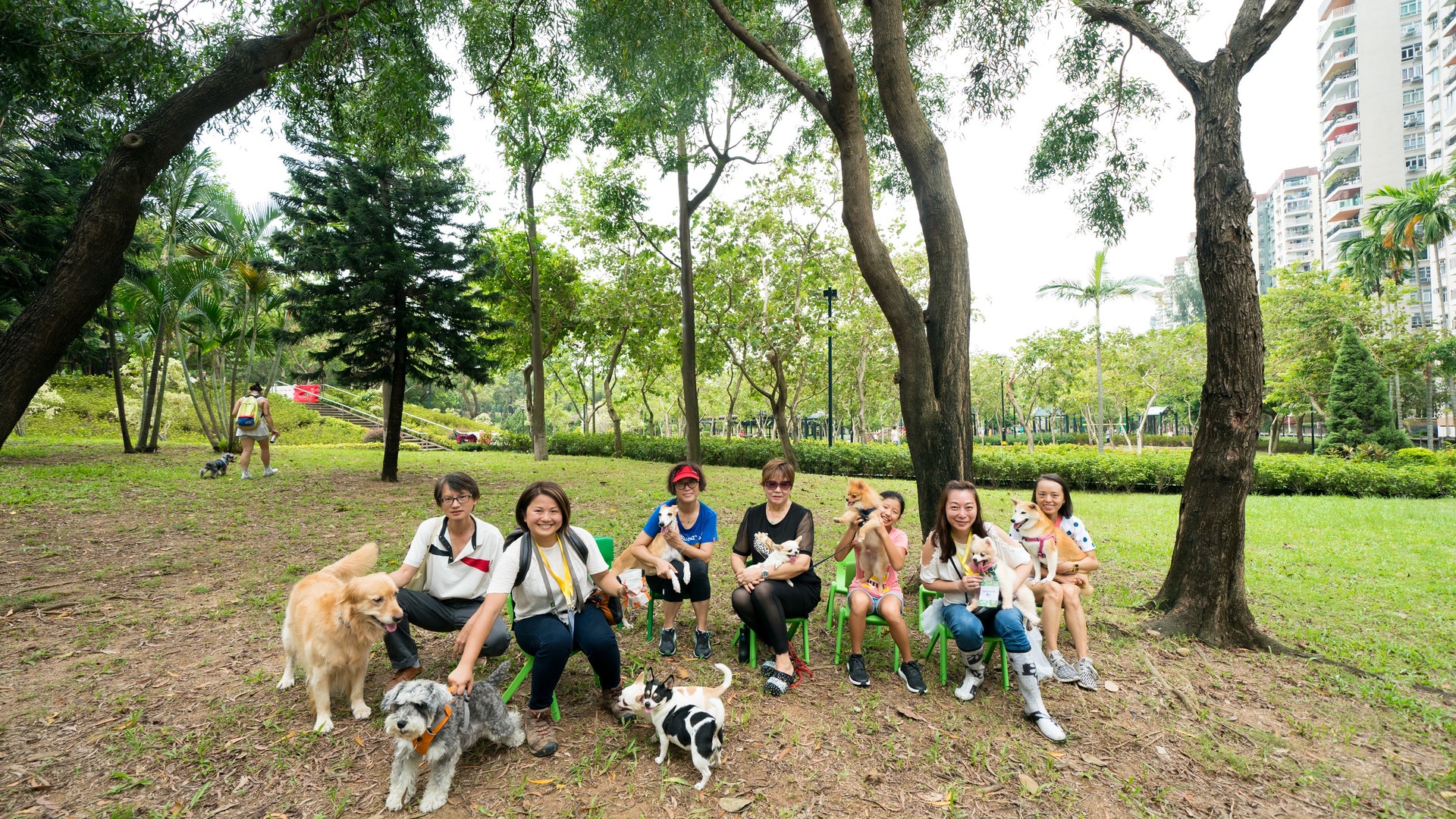 不能入公園草地 寵物活動區近垃圾房 美孚街坊:是時候爆了 不能入公園草地 寵物活動區近垃圾房 美孚街坊:是時候爆了