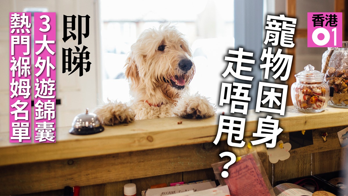 【假期實用名單】暫託主子去旅行 寵物褓姆 VS 酒店邊個靠得住? 【假期實用名單】暫託主子去旅行 寵物褓姆 VS 酒店邊個靠得住?