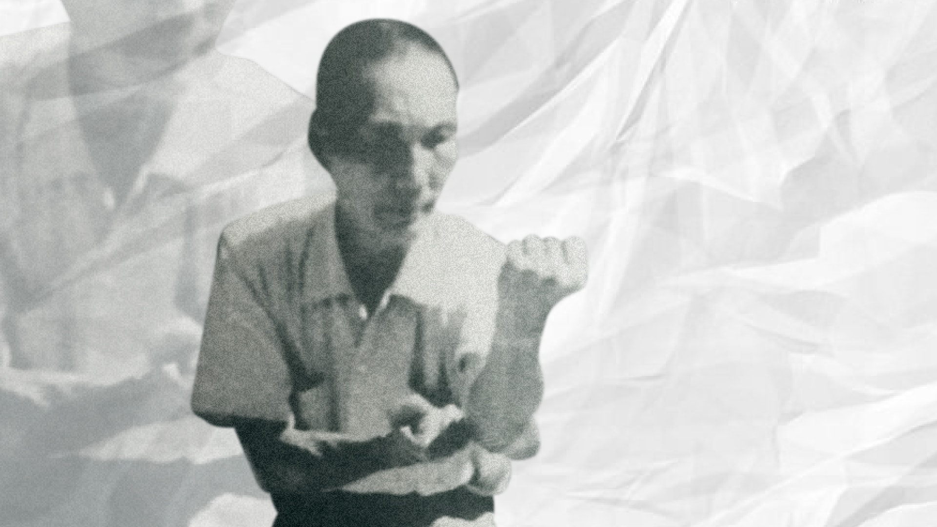 白眉拳 白眉拳