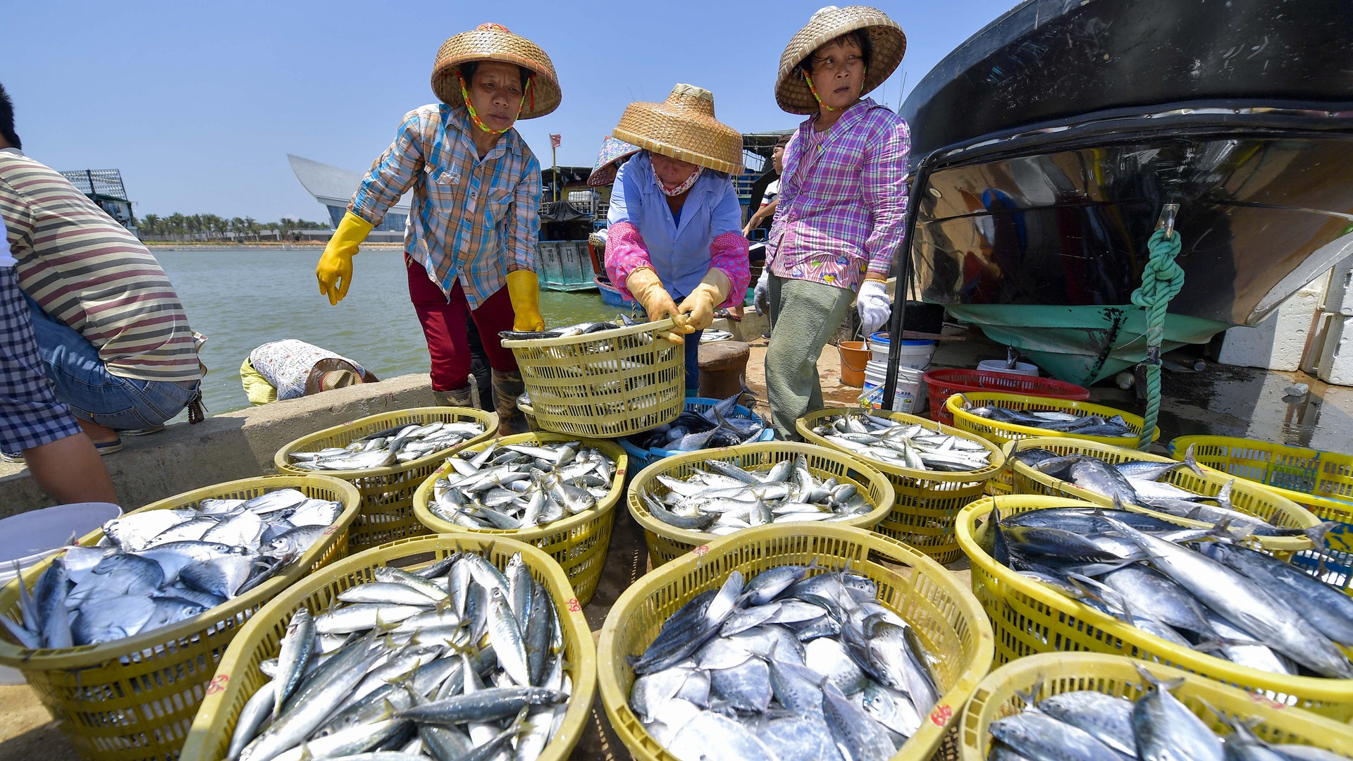 海鮮不准海鮮價 海南三亞海鮮食肆收劣評 政府即會處置 海鮮不准海鮮價 海南三亞海鮮食肆收劣評 政府即會處置