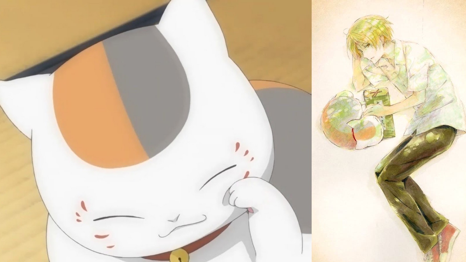 為貓貓打氣 夏目友人帳 10周年出新電影貓咪老師再會粉絲 為貓貓打氣 夏目友人帳 10周年出新電影貓咪老師再會粉絲