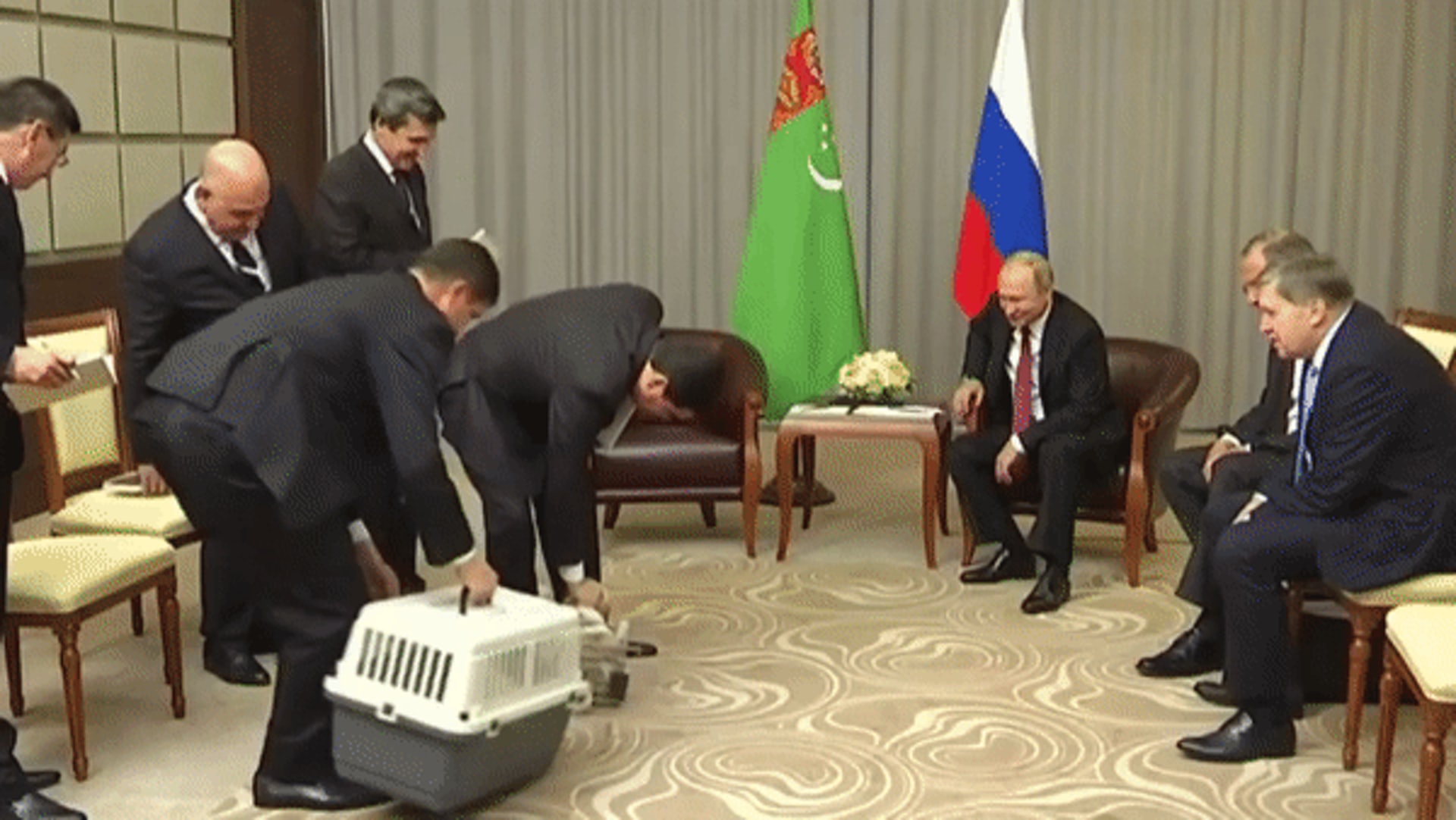 æç å庫æ¼ç¸½çµ±éçè³å£½å®ææªçæ±æ¹æ®äº¬å¦ä½æº«æ