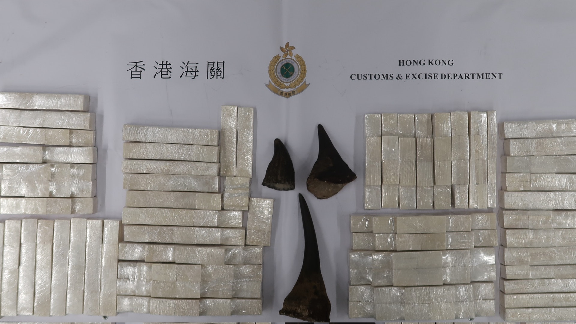 腰腿纏犀牛角 行李藏象牙製品 3非洲女客難逃海關法眼 腰腿纏犀牛角 行李藏象牙製品 3非洲女客難逃海關法眼