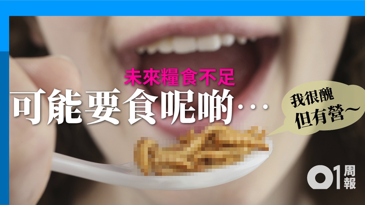 01周報 未來食物 面對將來糧食不足我們可以吃 香港01 世界專題