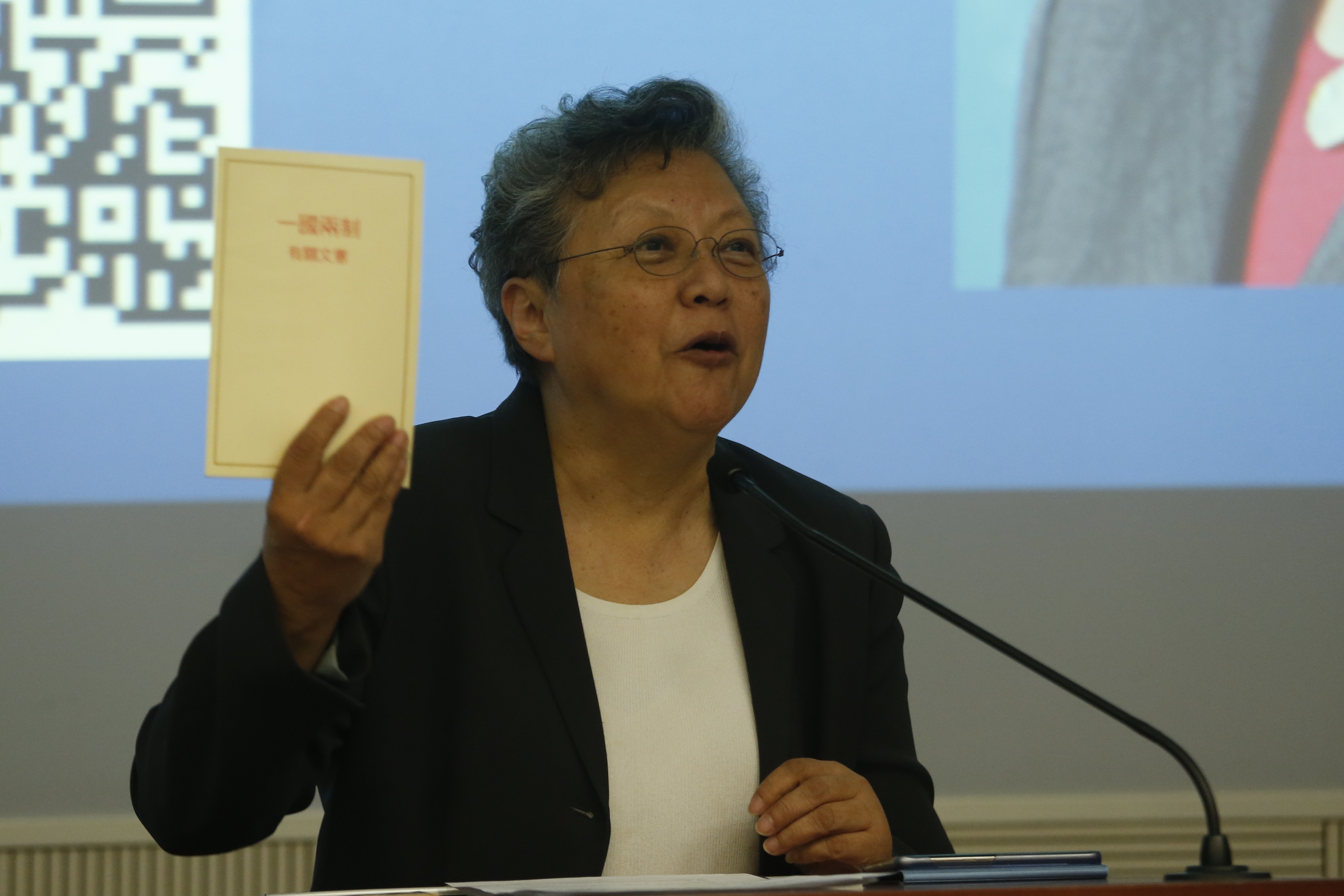 范徐麗泰：國歌法需有追溯力　有人覺侮辱國歌好好玩、判監會知驚