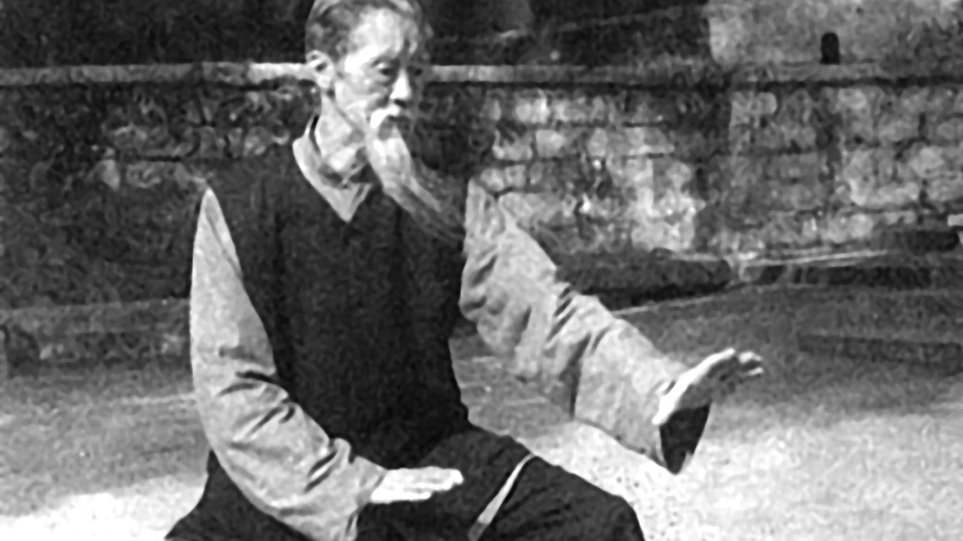 去形取意——大成拳
