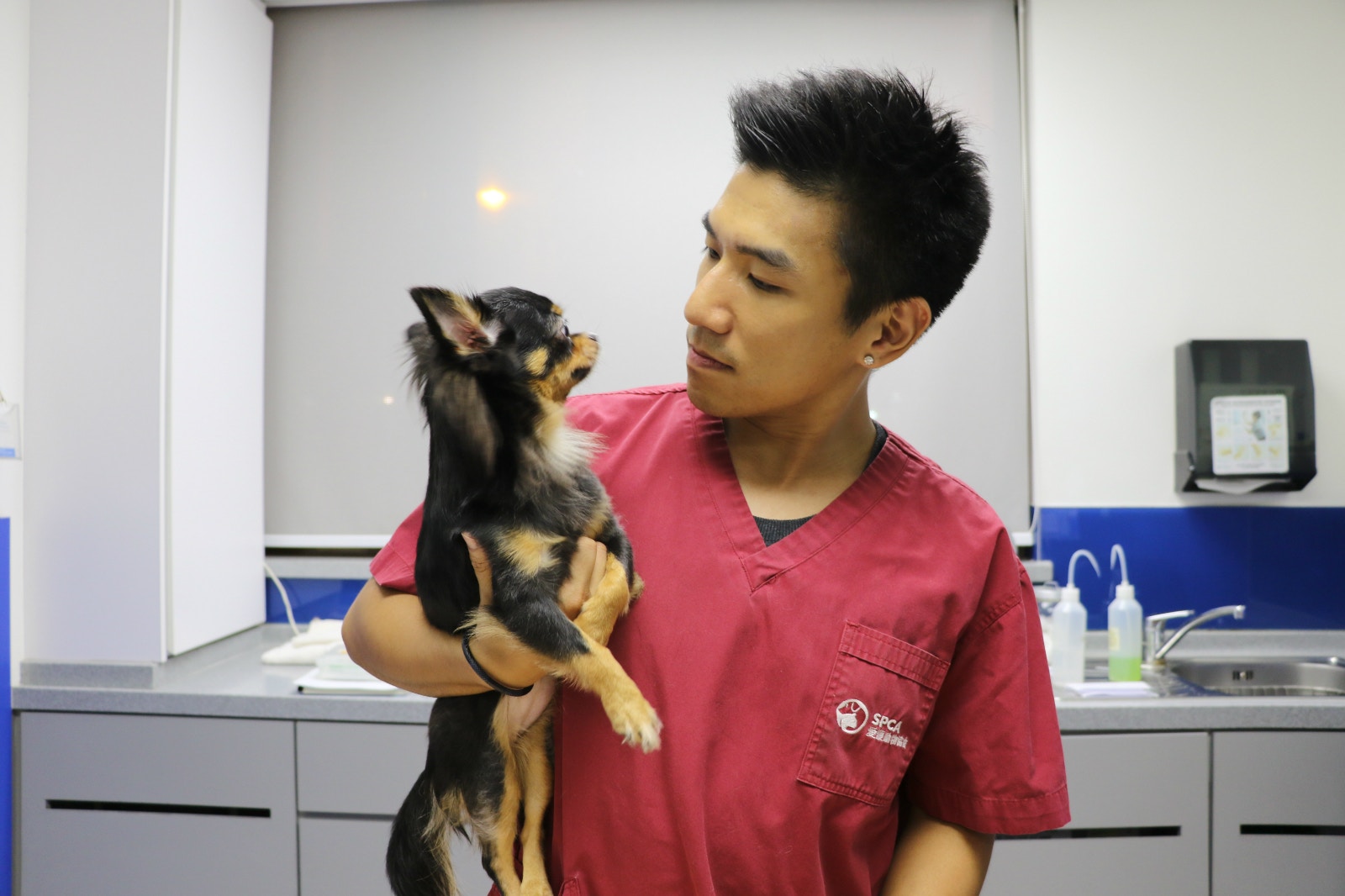 為當獸醫護士不惜與母反面靚仔男護行動證明：𠵱份工好有價值