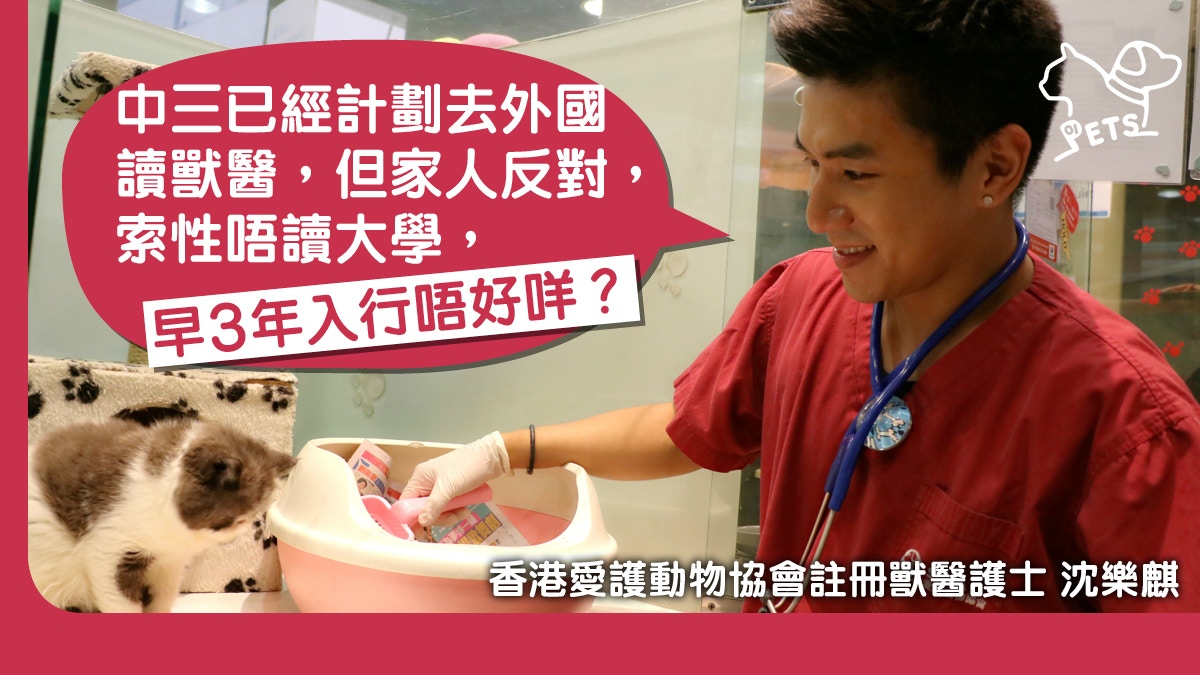 為當獸醫護士不惜與母反面靚仔男護行動證明：𠵱份工好有價值