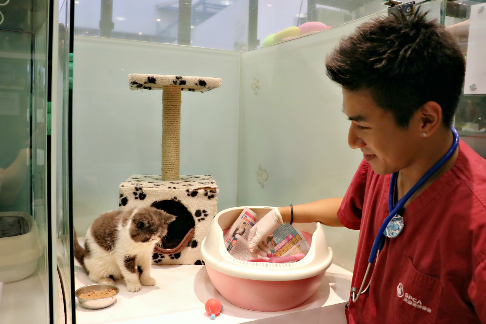 為當獸醫護士不惜與母反面靚仔男護行動證明：𠵱份工好有價值