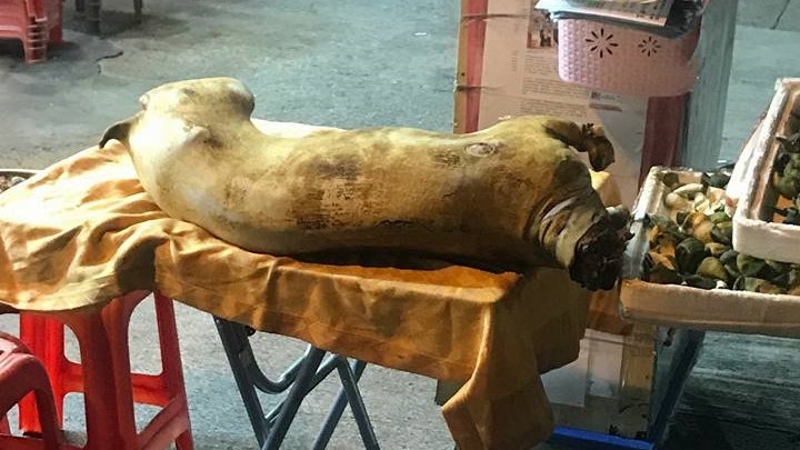 元朗食肆爆劏狗疑雲 店主親身回應賣的是羊肉 狗吠聲來自洗衣店 元朗食肆爆劏狗疑雲 店主親身回應賣的是羊肉 狗吠聲來自洗衣店