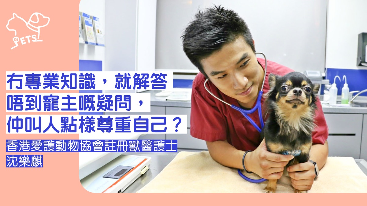 為當獸醫護士不惜與母反面靚仔男護行動證明：𠵱份工好有價值