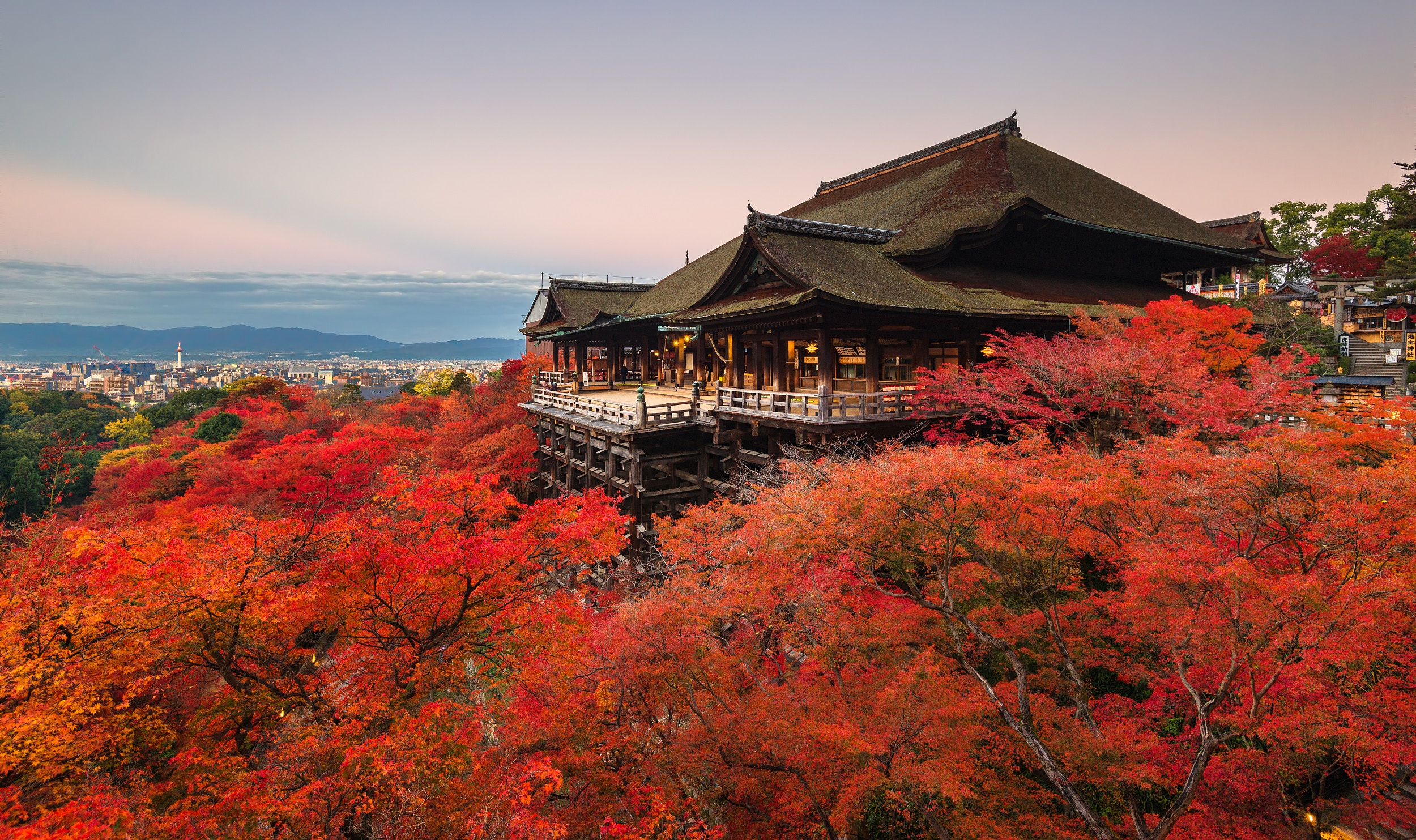 地道京都旅遊達人公開只有本地人知道的觀賞紅葉路線