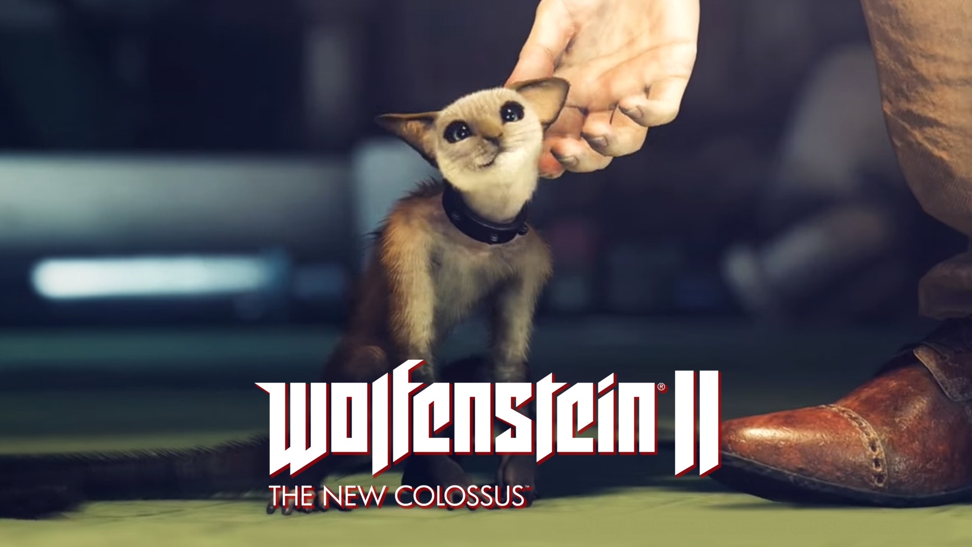 如何打敗wolfenstein最可愛紀錄保持者 香港01 遊戲動漫