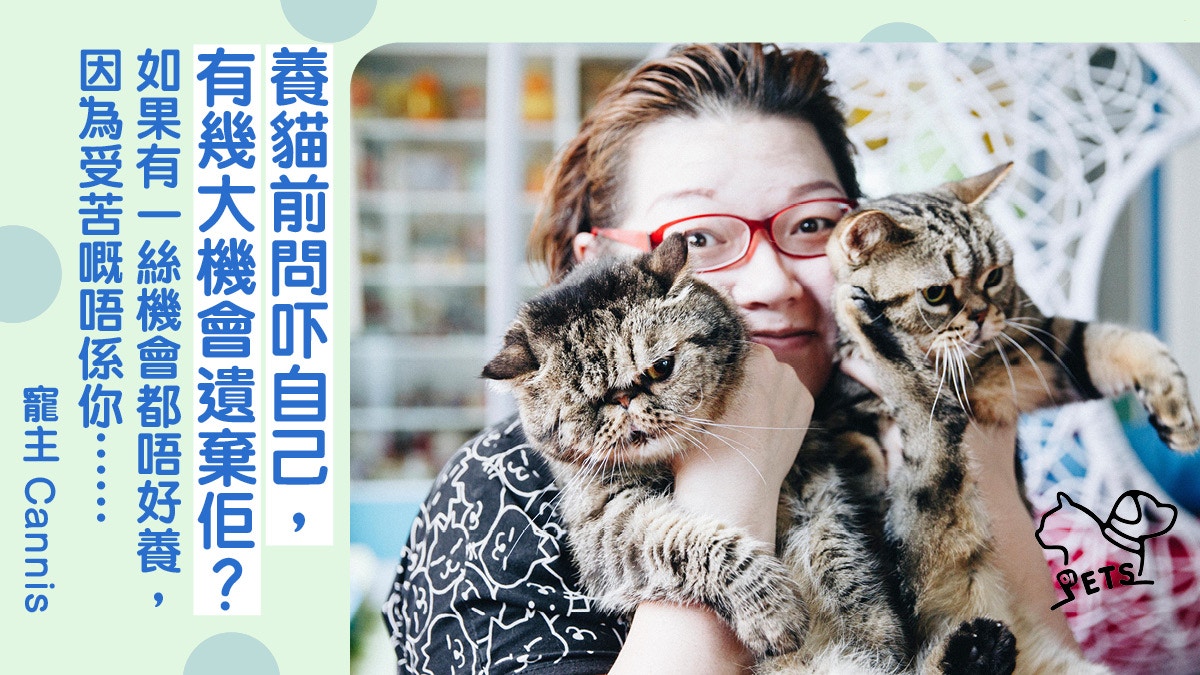 由買貓到領養殘疾貓前繁殖貓舍員工 不談品種 只想給牠一個家 香港01 寵物