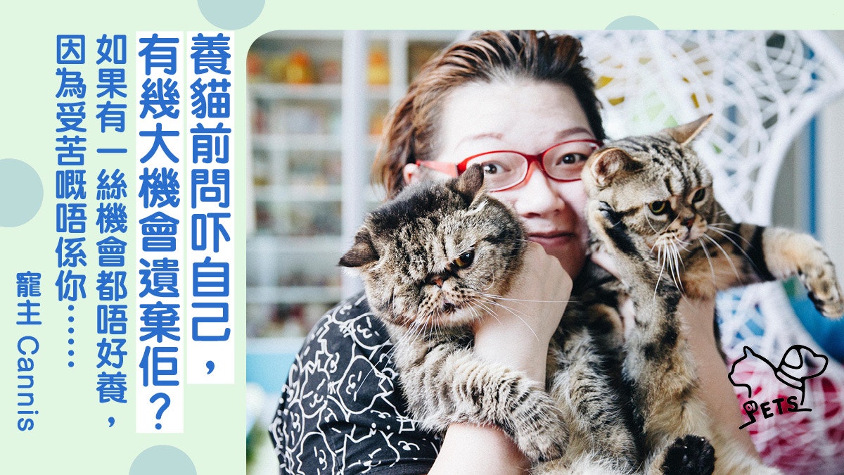 由買貓到領養殘疾貓前繁殖貓舍員工 不談品種 只想給牠一個家 香港01 寵物 由買貓到領養殘疾貓前繁殖貓舍員工 不談品種 只想給牠一個家 香港01 寵物