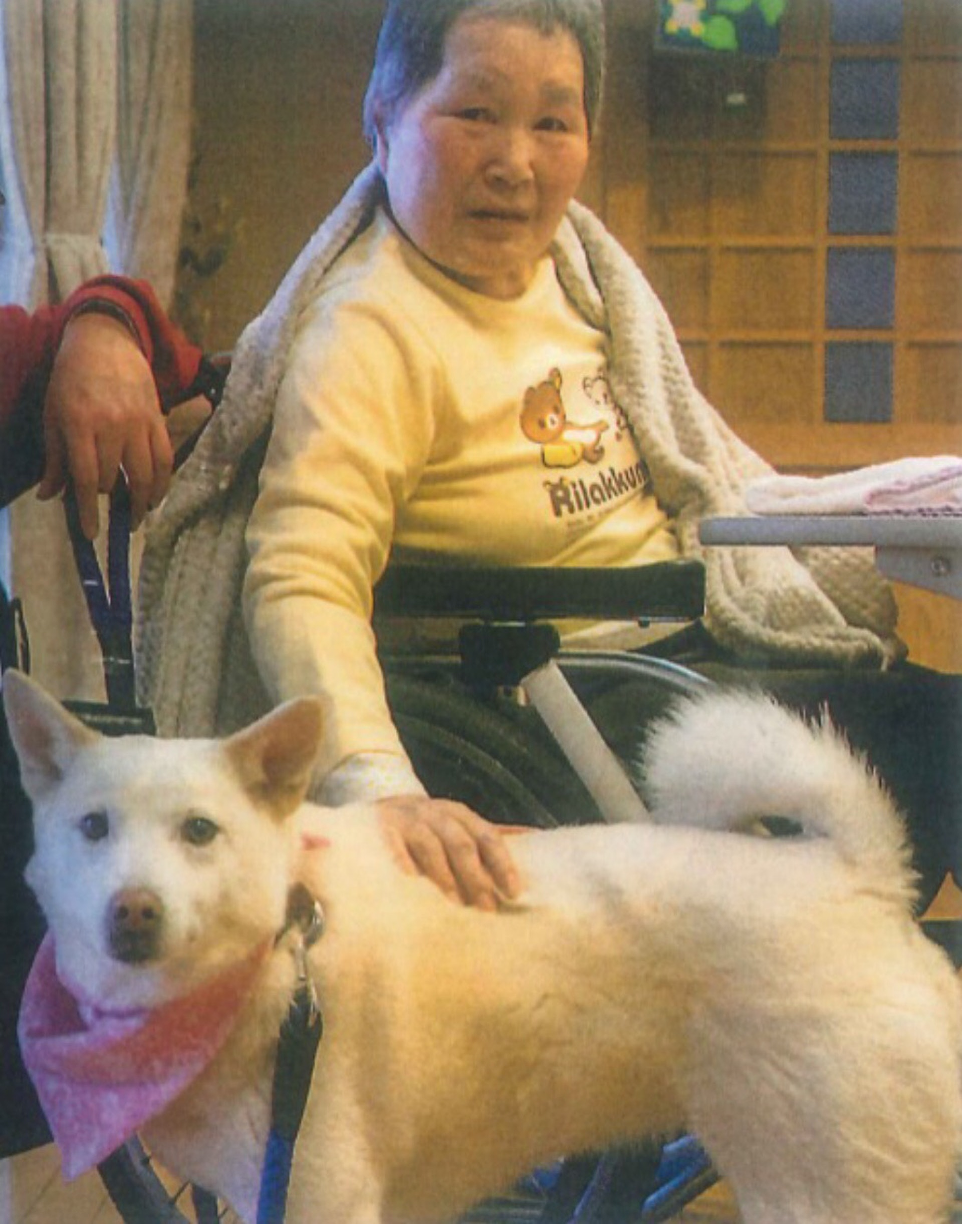 Maruko在老人院跟院友們互動的情況。(作者提供圖片) Maruko在老人院跟院友們互動的情況。(作者提供圖片)