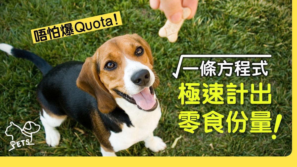 【零食方程式】想獎勵狗狗又怕佢肥? 教你如何計算每日零食份量 【零食方程式】想獎勵狗狗又怕佢肥? 教你如何計算每日零食份量