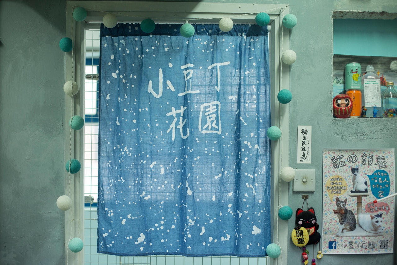 Jennifer兩年前改裝工作室成為貓舍,收容多頭無家可歸的貓咪。(張浩維攝) Jennifer兩年前改裝工作室成為貓舍,收容多頭無家可歸的貓咪。(張浩維攝)