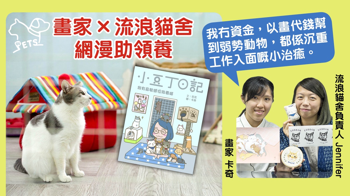 【小豆丁日記】義工畫家合創網漫 藉貓咪故事宣傳「領養不購買」 【小豆丁日記】義工畫家合創網漫 藉貓咪故事宣傳「領養不購買」