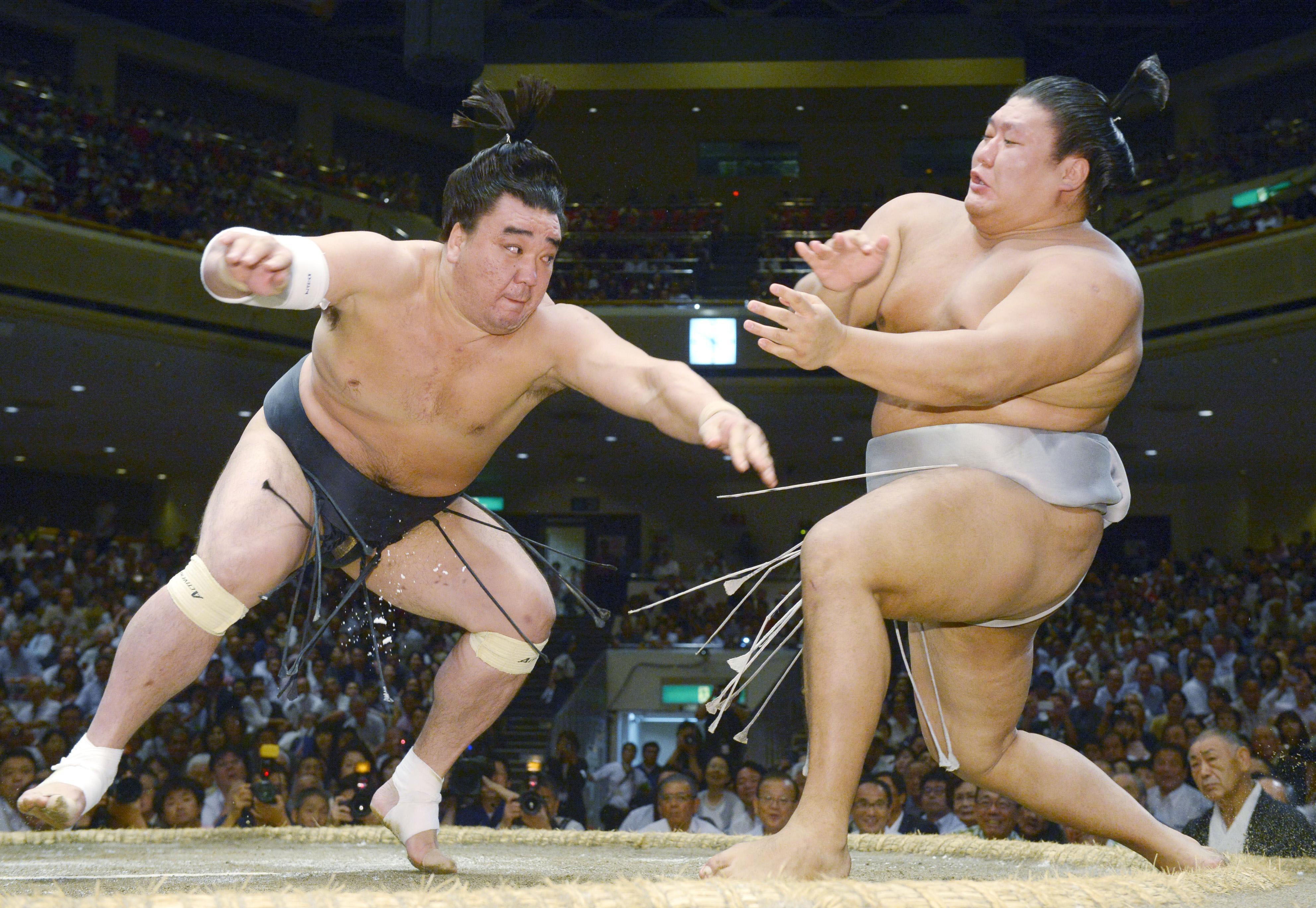 第70代 横綱日馬富士  大相撲浴衣反物 画文集〉第70代横綱日馬富士 相撲道 | 日馬富士 公平, 橋本