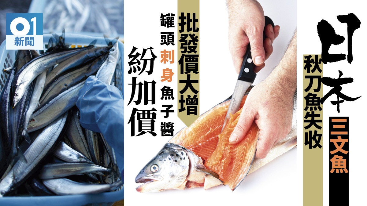 吃貨噩耗 日本三文魚秋刀魚鬧魚荒刺身 魚籽 罐頭價齊飆 香港01 即時國際