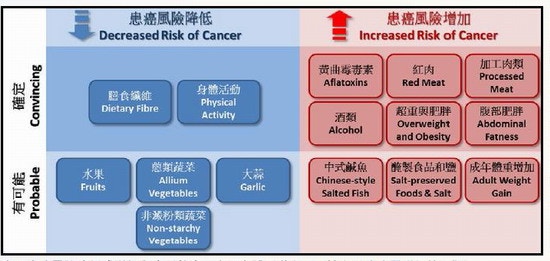 患癌風險示意圖。（食物安全中心網頁圖片）