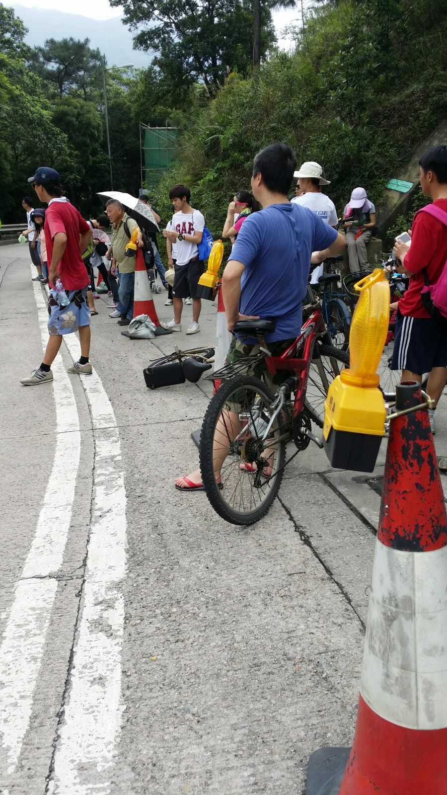 大嶼山道路闊度不符指引巴士單車人牛爭路 香港01 社會新聞
